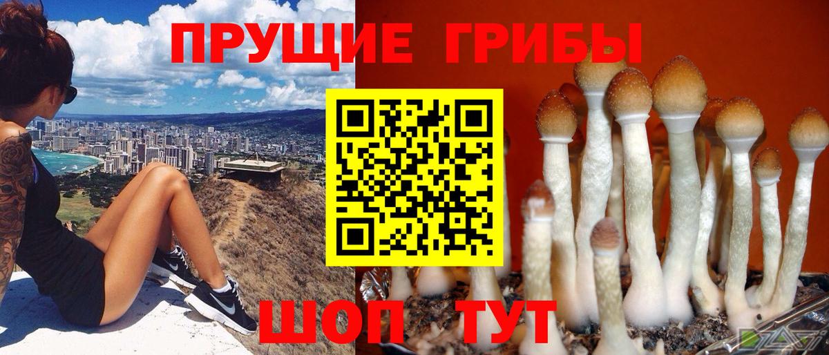 Псилоцибиновые грибы прущие грибы  Вход с VPN  Псилоцибиновые грибы ЛСД  Краснодар 